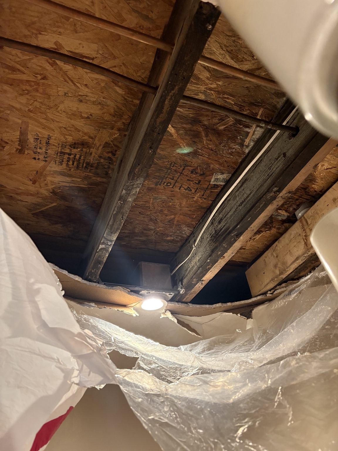 Ceiling opened to expose damaged material before repair